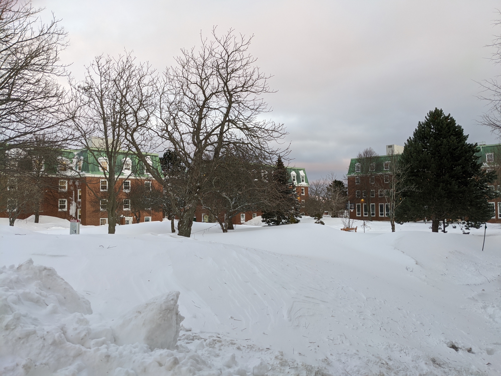 Trường cao đẳng của đại học Memorial Newfoundland